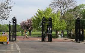 images 6 1