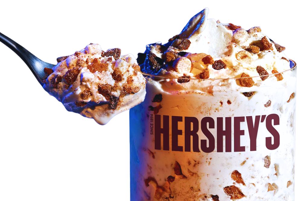 Hershey’s S’mores McFlurry
